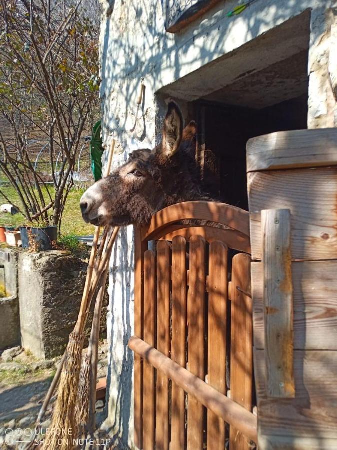 Agriturismo Cascina Gervasoni San Giovanni Bianco Dış mekan fotoğraf